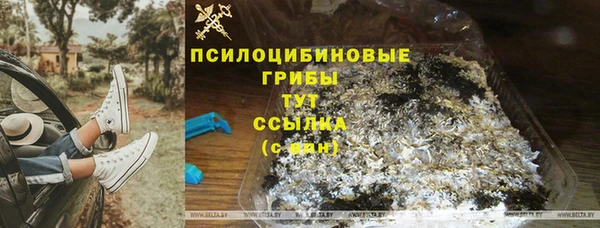 спайс Алзамай