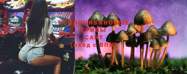 герыч Абаза