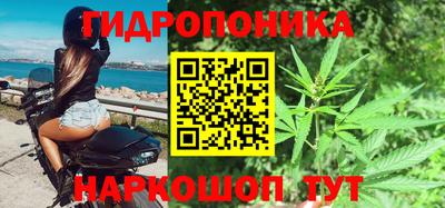 винт Кингисепп