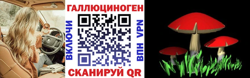 купить наркоту  Симферополь  Псилоцибиновые грибы GOLDEN TEACHER 